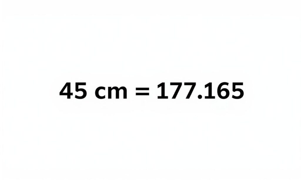 45-cm-to-inches-the-exact-answer